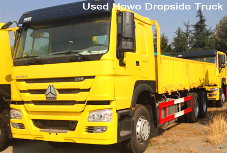 6x4 Used Howo Cargo Truck for Sale