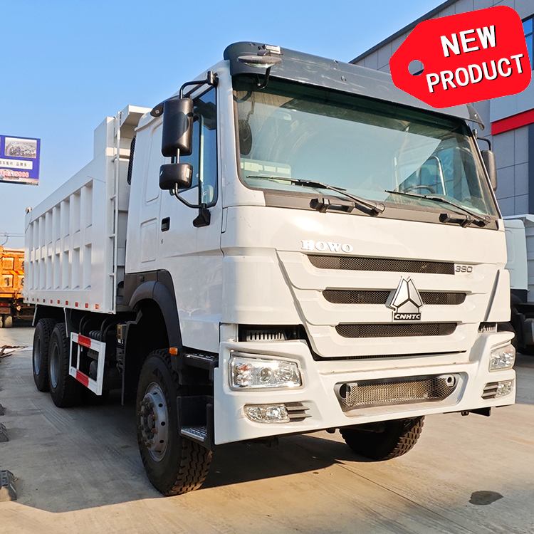 In Stock CNHTC Euro 2 Howo 10 Wheeler Dump Truck